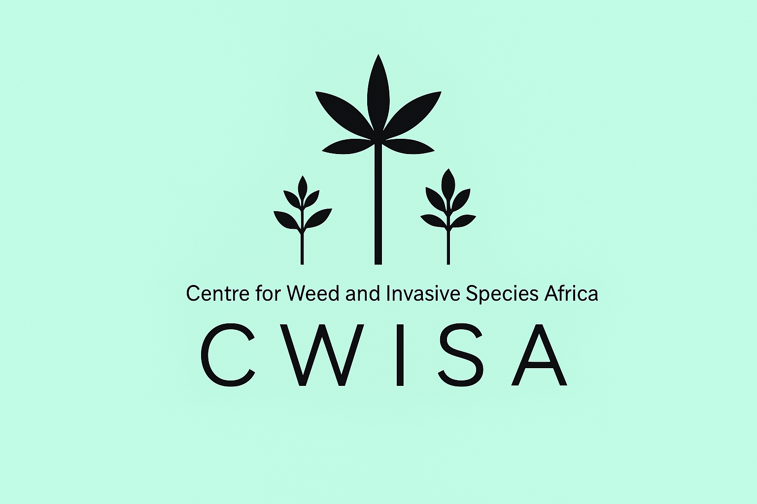 chatgpt image nov 22, 2025, 08 04 05 pm